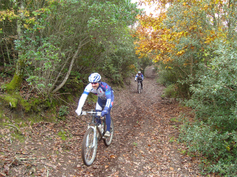 gal/2009/11 - Le escursioni della Ciclistica Valdarbia/DSC01415-01.jpg